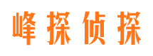 雷波市私人侦探